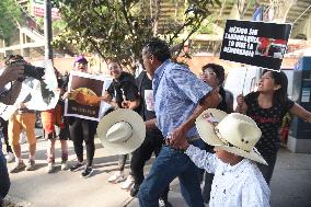 Rally Against Bullfighting in Mexico