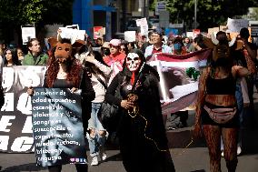 Protest Against For Resumption Of Bullfights