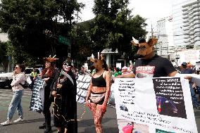 Protest Against For Resumption Of Bullfights