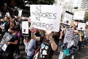 Protest Against For Resumption Of Bullfights