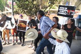 Rally Against Bullfighting In Mexico