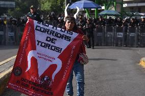 Rally Against Bullfighting In Mexico