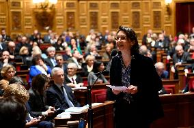 A Session Of Questions To The Government At The Senat In Paris