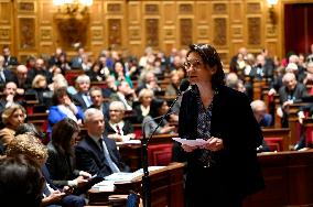 A Session Of Questions To The Government At The Senat In Paris