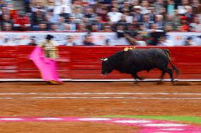 Bullfighting Resumes In Mexico City After Court Lifts Ban