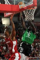 Basketball: Benfica vs Sporting