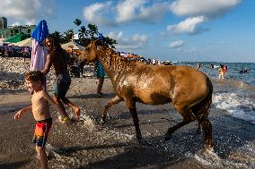 Travel Destination: Brazil