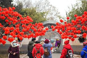 Chinese Welcome Lunar Dragon Year