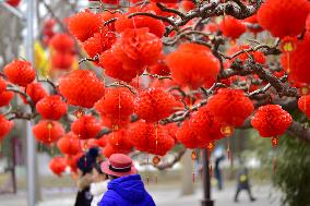 Chinese Welcome Lunar Dragon Year