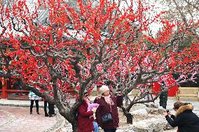 Chinese Welcome Lunar Dragon Year