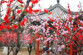 Chinese Welcome Lunar Dragon Year