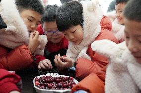 CHINA-HEILONGJIANG-TOURISM-GUANGDONG-CHILDREN (CN)