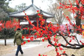 Chinese Welcome Lunar Dragon Year