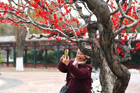 Chinese Welcome Lunar Dragon Year