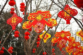 Chinese Welcome Lunar Dragon Year