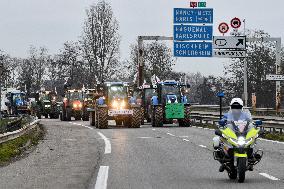 Farmers Block A35 Motorway - Strasbourg