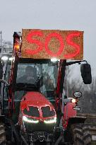 Farmers Block A35 Motorway - Strasbourg