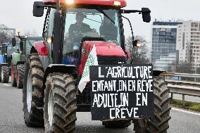 Farmers Block A35 Motorway - Strasbourg