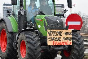 Farmers Block A35 Motorway - Strasbourg