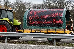 Farmers Block A35 Motorway - Strasbourg