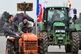 Farmers Block A35 Motorway - Strasbourg