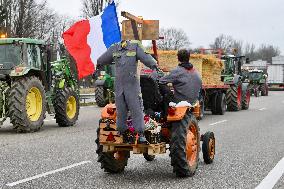Farmers Block A35 Motorway - Strasbourg