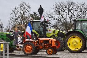 Farmers Block A35 Motorway - Strasbourg