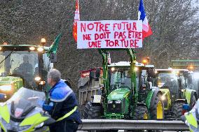 Farmers Block A35 Motorway - Strasbourg