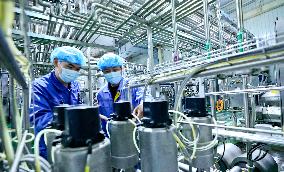 A Dairy Production Line in Zhangye