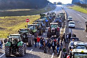 Farmers Block A16 Motorway - Pas-de-Calais