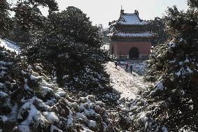 CHINA-LIAONING-SHENYANG-SNOWFALL (CN)