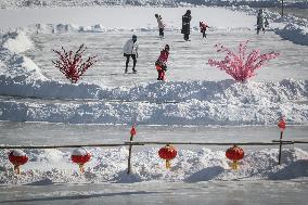 CHINA-LIAONING-SHENYANG-SNOWFALL (CN)