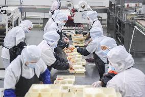 CHINA-HUBEI-WUHAN-HIGH-SPEED TRAINS-BOXED MEALS-PRODUCTION (CN)