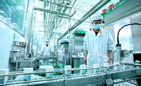 A Dairy Production Line in Zhangye