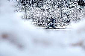 Heavy Snow Hit Zaozhuang