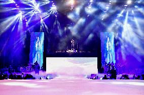 Davido In Concert - Paris