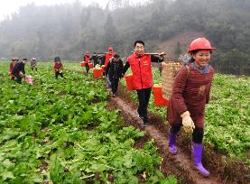 China Agriculture