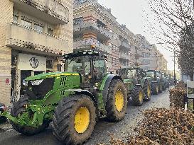 Farmers protest against European green regulation