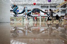 SINGAPORE-CHINESE NEW YEAR-DRAGON-DECORATION