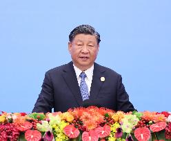 Xi Focus-Profile: Xi Jinping, man of culture