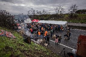 French Farmers Block The A6 Highway Near Paris