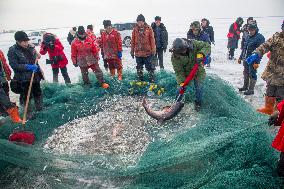 Daliao Culture Winter Fishing Festival