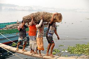 Workers Unload Wood From A Boat - Bangladesh