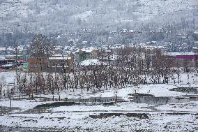 Widespread Snowfall In Kashmir Valley After Two Months Of Dry Winter