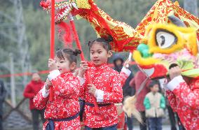 Dragon Dance Celebrate China Lunar Year