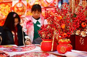 Spring Festival Retail Economy