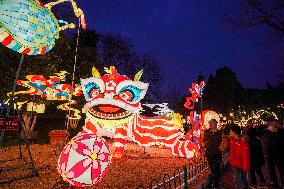 CHINA-JIANGSU-NANJING-FESTIVE LANTERNS (CN)