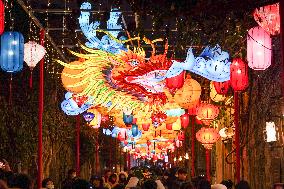 CHINA-JIANGSU-NANJING-FESTIVE LANTERNS (CN)