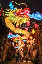 CHINA-JIANGSU-NANJING-FESTIVE LANTERNS (CN)