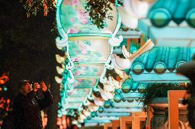 CHINA-JIANGSU-NANJING-FESTIVE LANTERNS (CN)